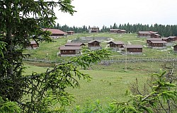 Kayaba�� Yaylas�